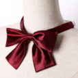 2 pièces de nœuds papillon en polyester pour femme Cravates pour la restauration